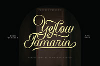 Yellow Tamarin