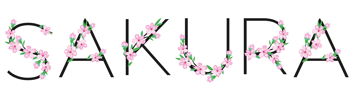 Sakura abc and number rendition image