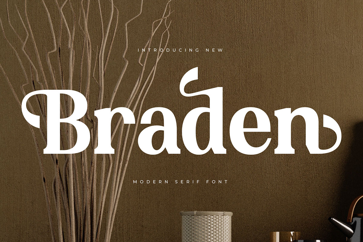 Braden - Modern Serif Font rendition image