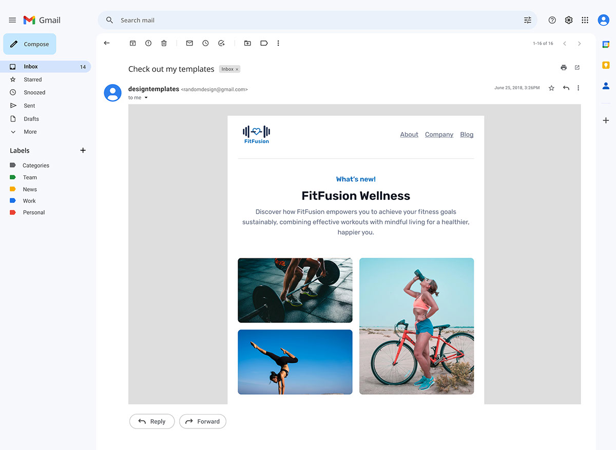 Fitfusion Email Template rendition image
