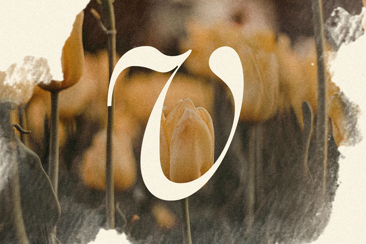 Castillet - Elegant Serif Typeface rendition image