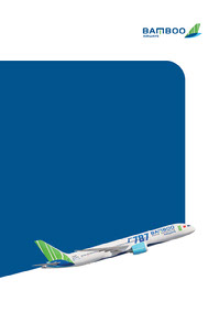OOH Branding Bamboo Airways