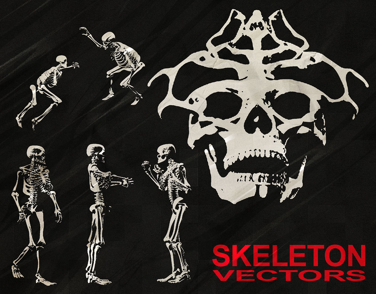 SKELETON Vectors rendition image