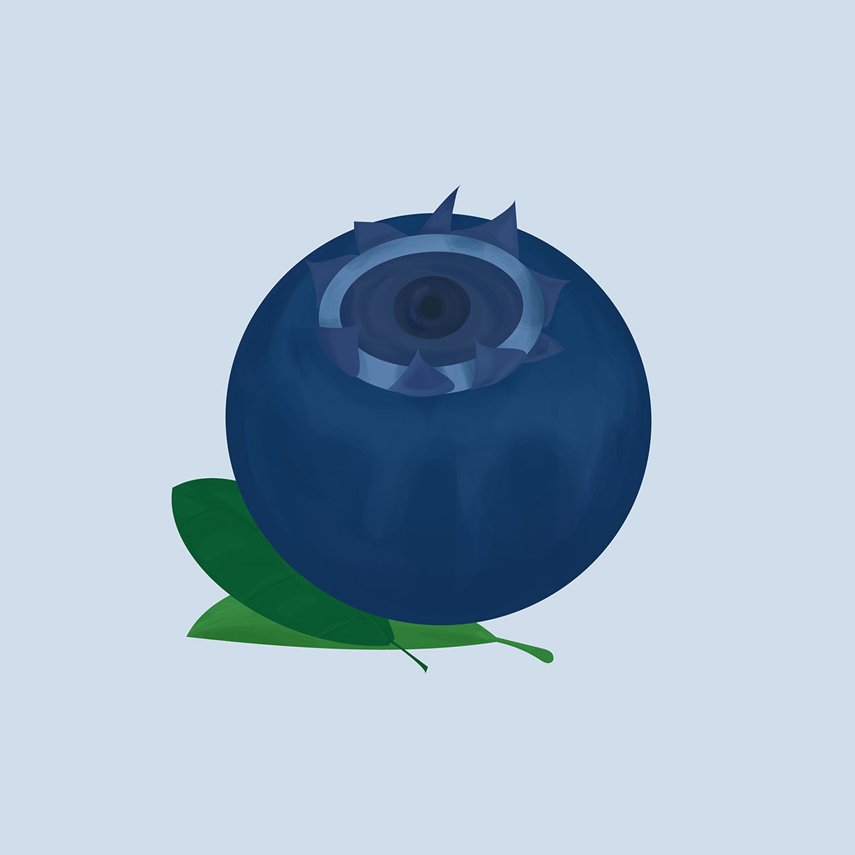 blueberry rendition image
