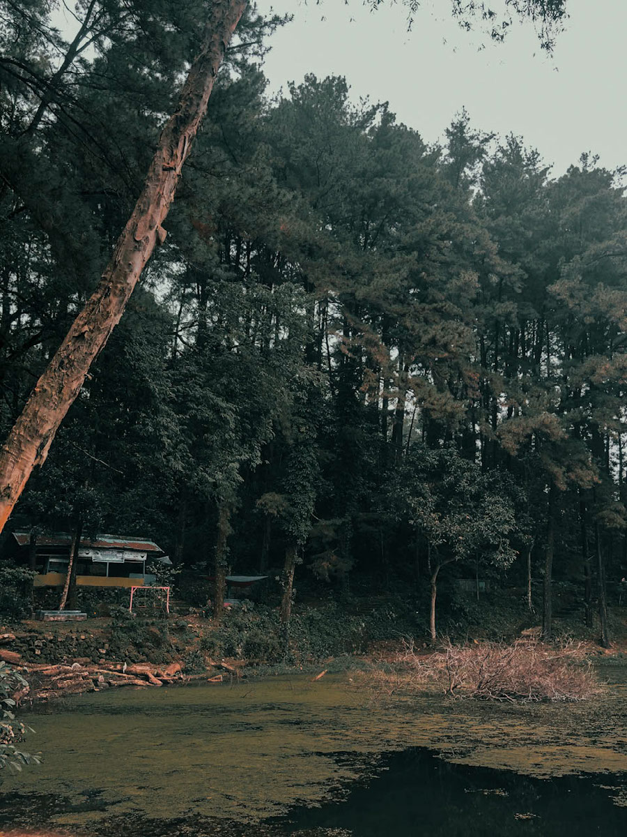 Preset Cold | Edit | Photoshop Lightroom