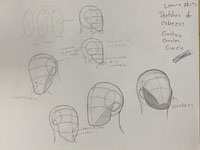 Head Pose - Pose de Cabezas - Anatomia