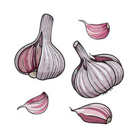garlic eps