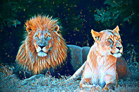 King Lion His Queen -JPG_PDF_PNG