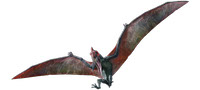 Pteranodon