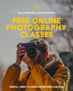 Taking Professional Photos Learn Portrait Photography Tips