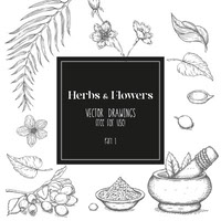 herbsflowersp1