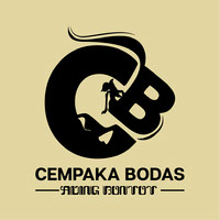 Wayang Logo Idea