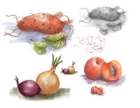 Seed fruit and vegetables