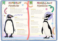 Penguin illustration Book