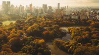 Central Park Autumn Aerial 2