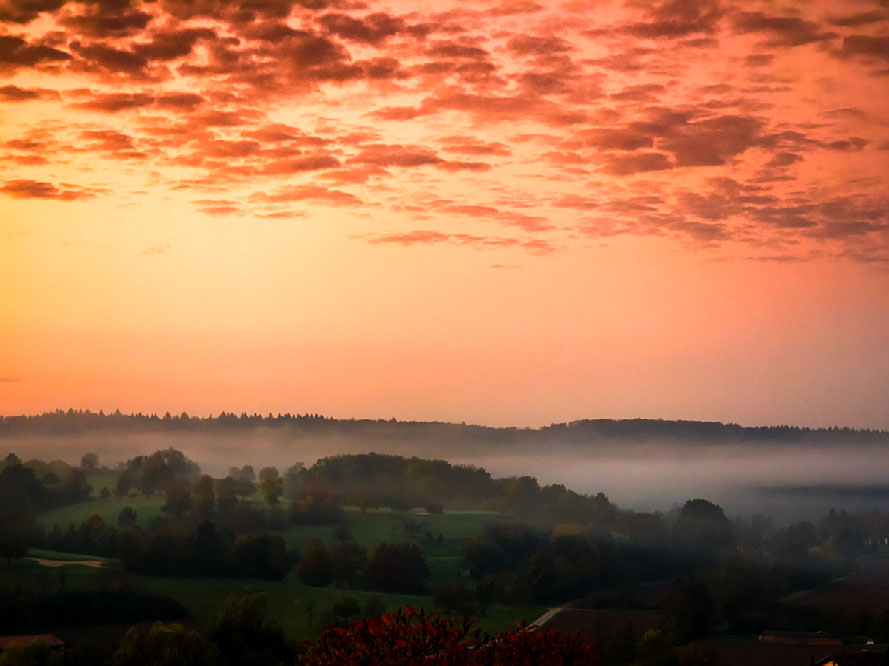 Improve your photography skills | Adobe Lightroom