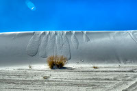 White Sands5