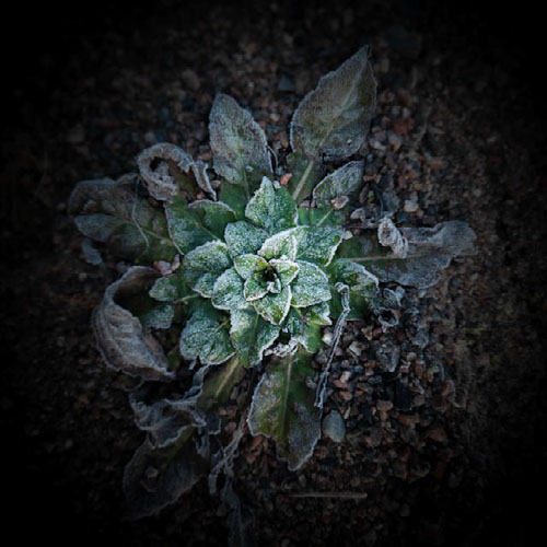 Improve your photography skills | Adobe Lightroom