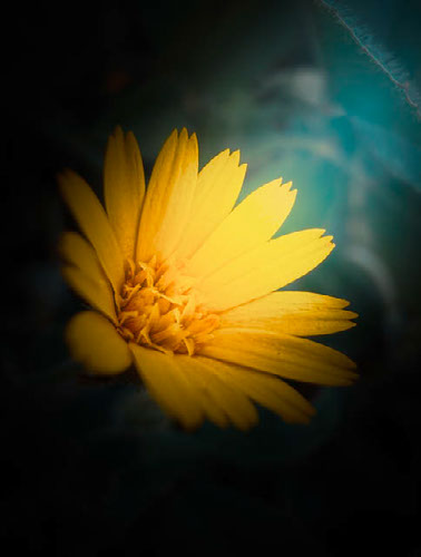 Improve your photography skills | Adobe Lightroom