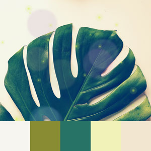 101 Brilliant Color Combinations For 2020 Adobe Spark