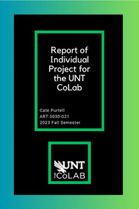 Report of Individual Project for the UNT CoLab