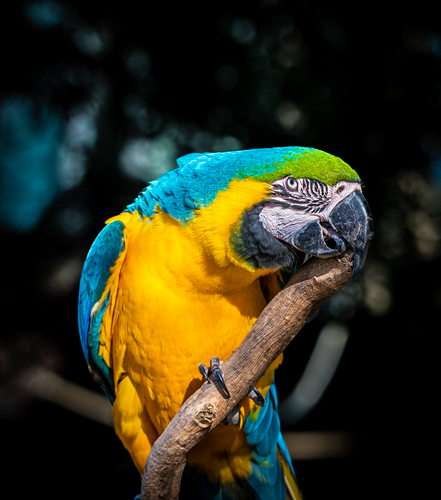 Improve your photography skills | Adobe Lightroom