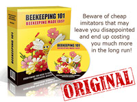 Discover Beekeeping - Guide for Beginner Beekeepers