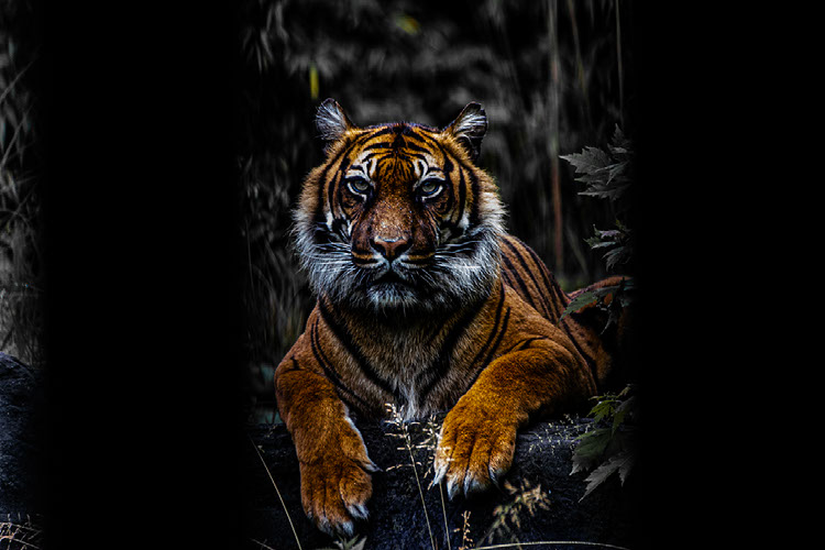 Improve your photography skills | Adobe Lightroom