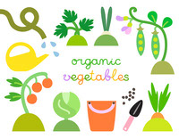 Poster-organic-vegetables