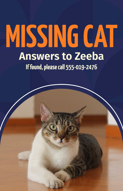 Lost cat flyer cheap