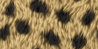 02-Fur-Background-Texture