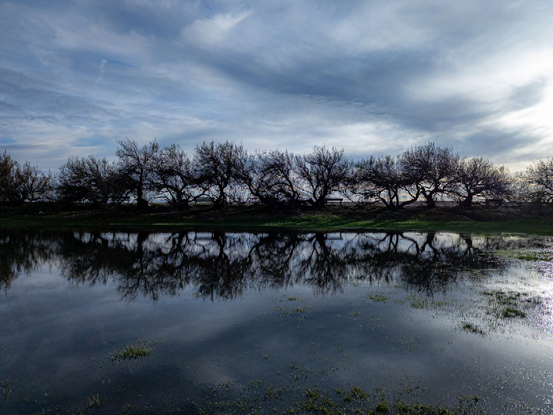Improve your photography skills | Adobe Lightroom