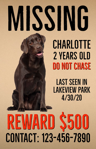 Free Missing Poster Templates | Adobe Express