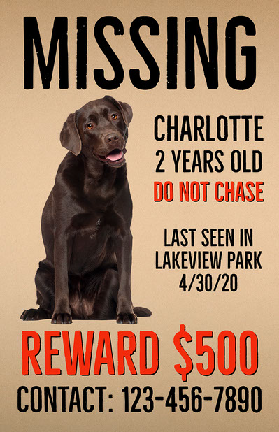 Free Missing Poster Templates Adobe Express