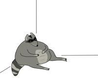 mapache gordo