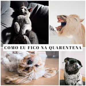 Gerador de memes online: crie memes grátis | Adobe Spark