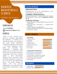 CV Magistrelli Flores Daniele