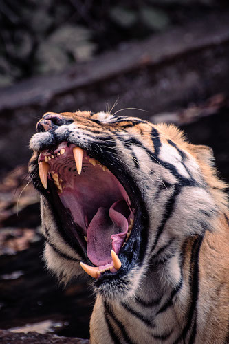Improve your photography skills | Adobe Lightroom