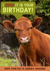 Vœux Et Textes Pour Cartes Danniversaire Adobe Spark