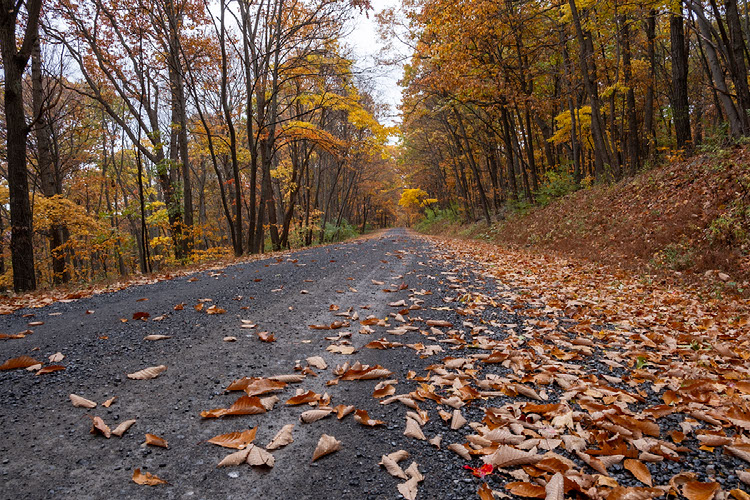 Improve your photography skills | Adobe Lightroom