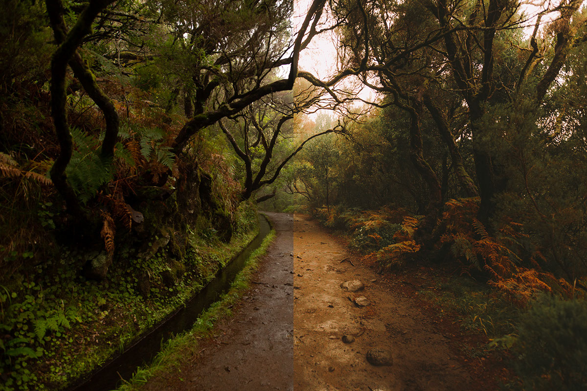 Gallery image with a fresh perspective