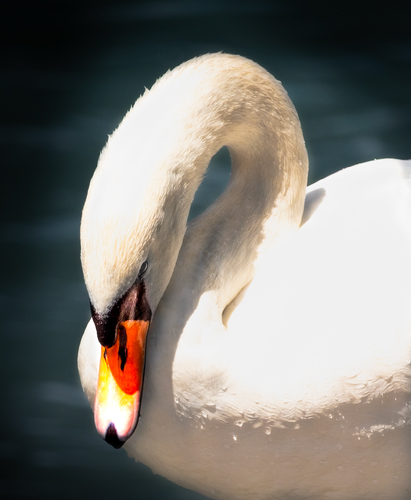 Improve your photography skills | Adobe Lightroom