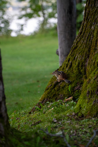 Improve your photography skills | Adobe Lightroom