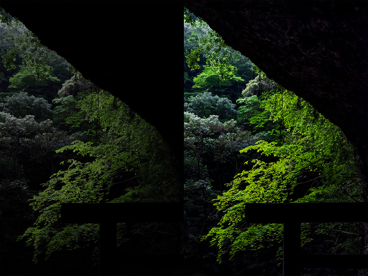Backlight, Silhouettes and Fine Art Photography | Tutorial | Adobe ...