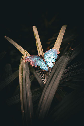 Improve your photography skills | Adobe Lightroom