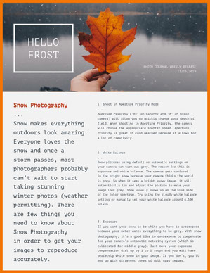 Free Newsletter Templates Adobe Spark