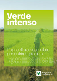 Verde intenso - Regione Lombardia
