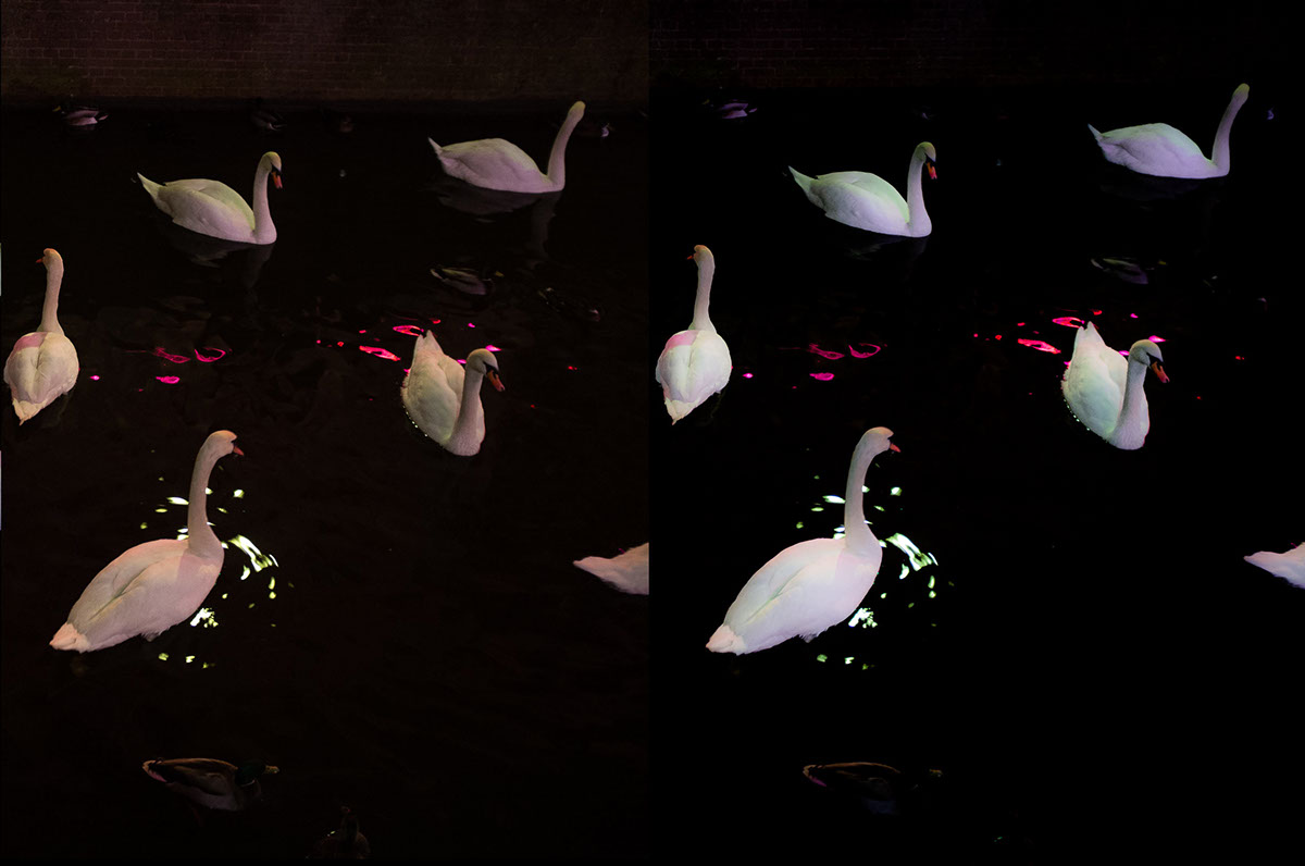 Fixing Very Dark Images | Tutorial | Adobe Lightroom