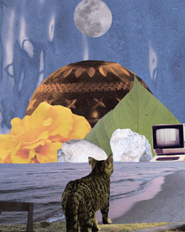 Collage Art For Social Media Posts Adobe Spark