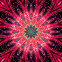 Flower Flash Kaleidoscope 1